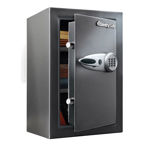 SentrySafe Security Safe with Electronic Lock & Reviews Wayfair
